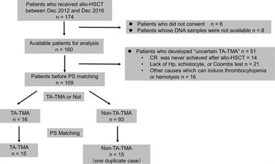 Early Elevation of Complement Factor Ba Is a Predictive Biomarker for Transplant-Associated Thrombotic Microangiopathy